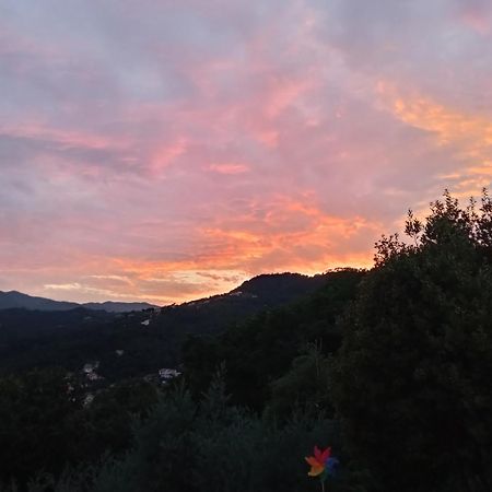 Penzion In Campagna La Spezia Exteriér fotografie